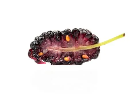 Half black mulberry Foto stock