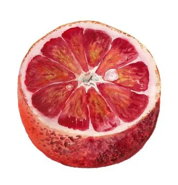 Half of blood orange Stock Illustration