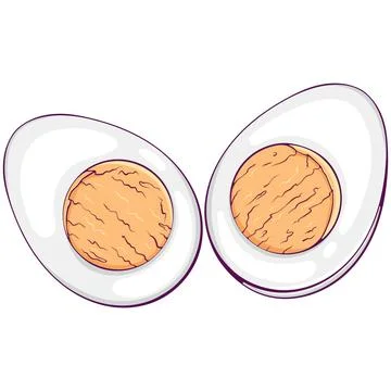 Half a boiled egg color Stock Illustration