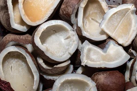 Half broken and full dried Coconut Stock Photos
