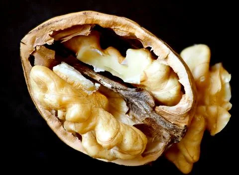 Half a broken walnut. Close up Stock Photos