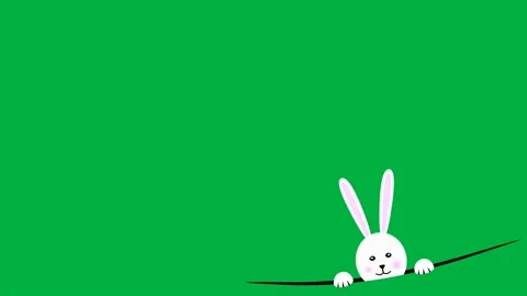 Half bunny face animation on green screen Stock Footage 234108564