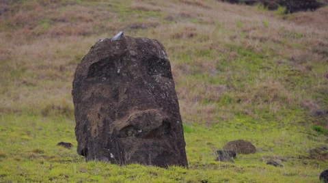 Half burried Moai statue on Easter Island Video stock 64258714