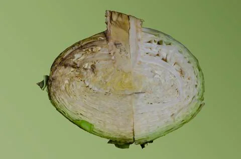 Half cabbage, an isolate on a light green background. Stock Photos