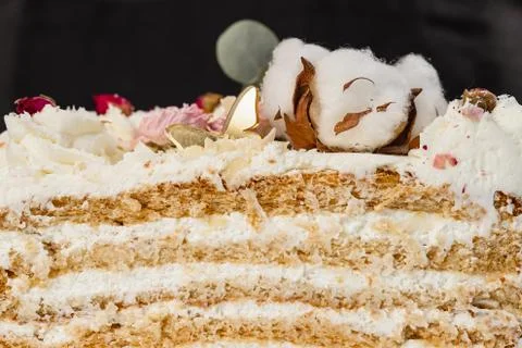 Half a cake. Close-up of a cut cake with visible layers and filling. onditer Stock Photos