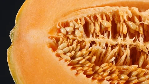 Half cantaloupe melon isolated on the black background Stock Footage 113676480