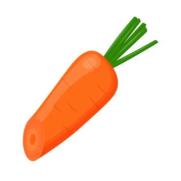 Half of carrot isolated on background. Flat vector illustration Stock Illustration