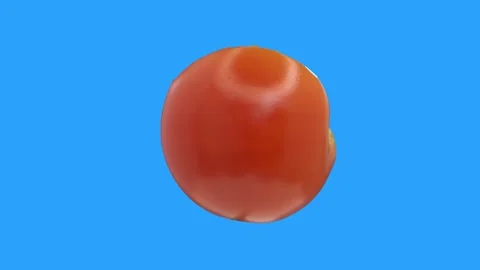 Half a cherry tomato twists and spins around on a blue background, isolate, chro Video stock 267602717