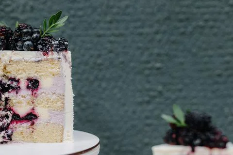 Half of a chocolate berry cake close-up on a gray background Stock Photos