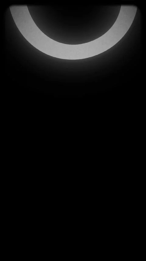 Half Circle Abstract Vertical Video Overlay Background Stock Footage 325759032