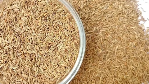 Half of circle shaped Cumin seeds glass bowl spices spilled around it Stock Footage 276530453