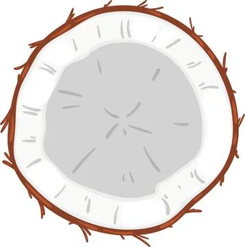 Half of coconut fruit isolated on transparent, png. fresh tropical food, he.. Stockillustratie