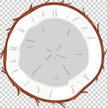 Half of coconut fruit isolated on transparent, png. fresh tropical food, he.. Stockillustratie