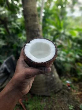 Half of a coconut on the hand Foto stock