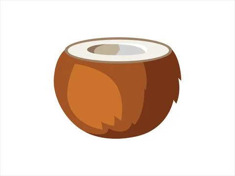 Half a Coconut Stock Illustration