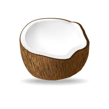 Half coconut isolated on white background. 스톡 일러스트