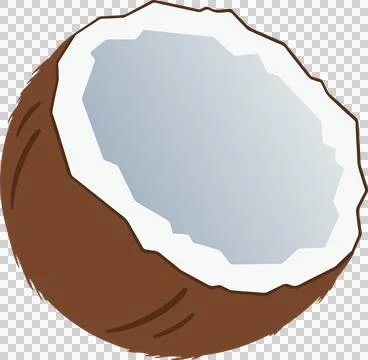 Half coconut shell is floating on transparent background in flat illustration 스톡 일러스트