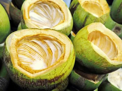 Half Coconut Shells Stock Photos