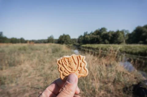 Half a cookie in your hand on the background of the landscape, Stock Photos