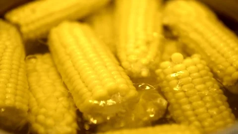 Half of the corn cobs are boiled in a metal pot filled with water. macro Stock Footage 91666954