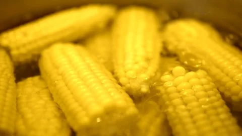 Half of the corn cobs are boiled in a metal pot filled with water. macro Video stock 91666977