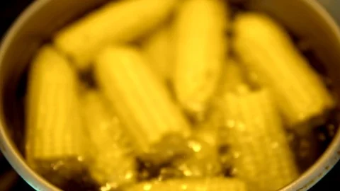 Half of the corn cobs are boiled in a metal pot filled with water the camera Stock Footage 91666996