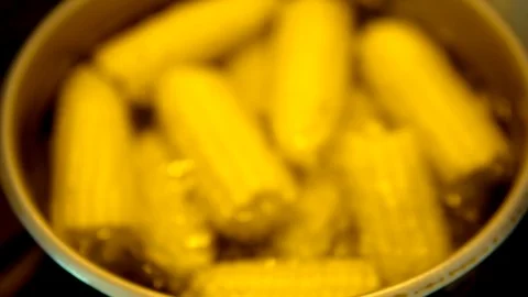Half of the corn cobs are boiled in a metal pot filled with water the camera Stock Footage 91667007