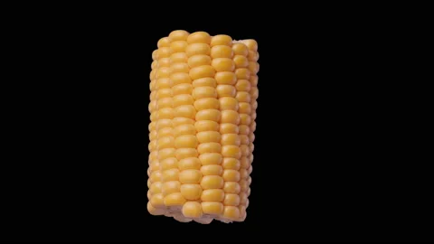 Half corn cobs spin and float - sweet corn isolated, alpha channel included Video stock 162119323