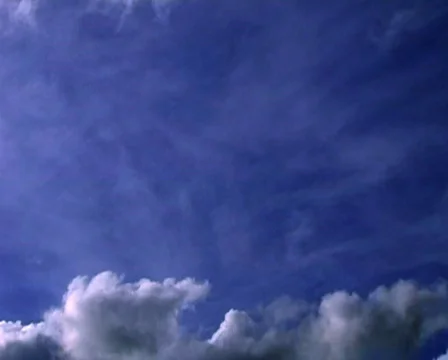 Half Covered Видео 104355