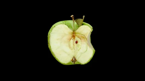 Half cut and bitten apple dry out, 8k time lapse shot, isolated on black Stock Footage 126357455
