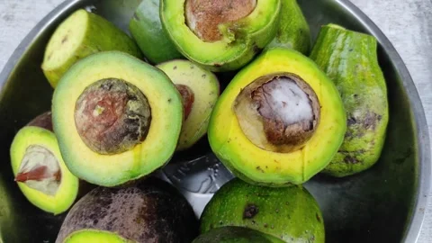 Half cut avocados Stock Footage 262625824