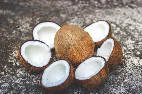 Half Cut Coconut | palm (Cocos nucifera) Stock-Fotos
