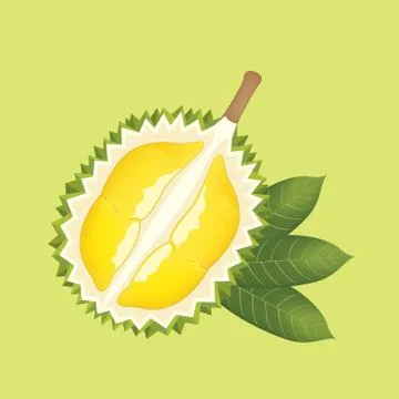 Half cut durian and leaf on green background Stock Illustration