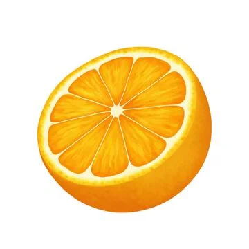 Half of a cut orange. Vector realistic illustration isolated on white background Stock Illustration