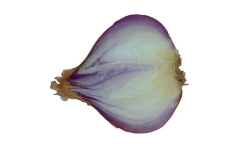 Half cut pink colored small onion placed on top of a white isolated backgroun Stock Photos