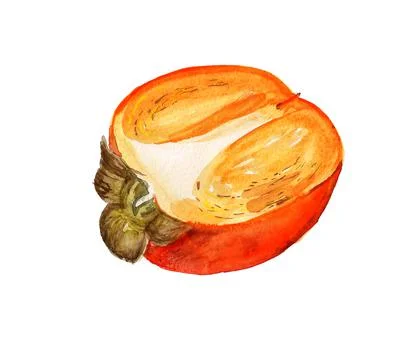 Half of date-plum Stock Illustration