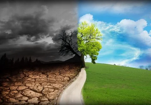 Half dead and alive tree outdoors. Conceptual photo depicting Earth destroy.. Stock Photos