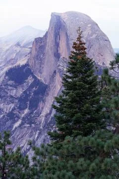 Half Dome alpenglow Stock Photos