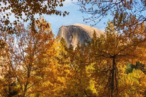 Half Dome and trees among an autumn scene in Yosemite Stock Photos