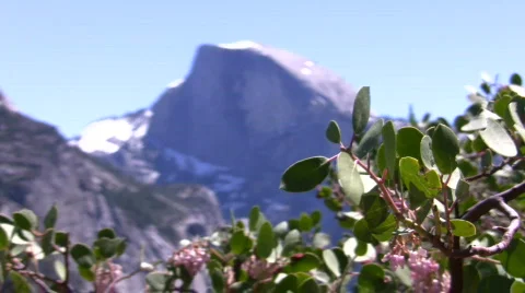 Half Dome Medium Rack Focus Filtered3 Stock Footage 876102