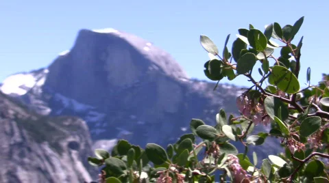 Half Dome Medium Rack Focus Filtered2 Stock Footage 876106