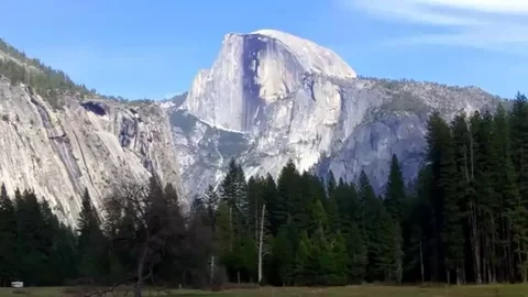 Half Dome Mountain framed by blue sky and green pine trees in Yosemite Valley Stock Footage 98248011