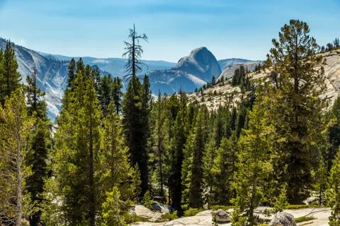 Half Dome Stock Photos