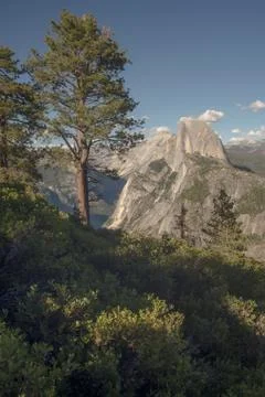 Half Dome Stock Photos