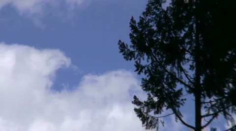 Half Dome &amp; Upper Falls CU Zoom Out 1 Stock Footage 874555