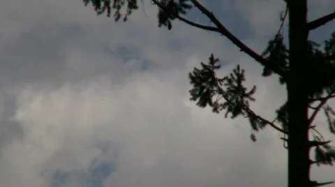 Half Dome &amp; Upper Falls CU Zoom Out 2 Stock Footage 874669