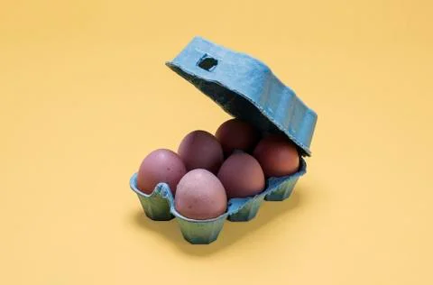 Half dozen organic free range eggs in open egg carton Stock Photos