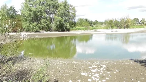 Half dried out swamp lake Stock Footage 344306236