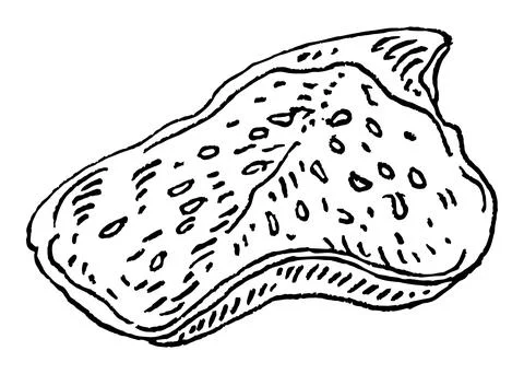 Half dry fig. Vector black vintage engraving illustration. Illustrazione stock