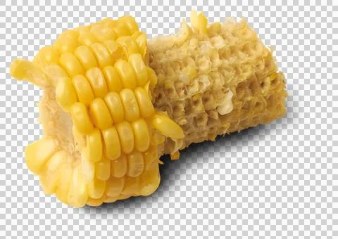 Half eaten corn or maize isolated Stock Photos